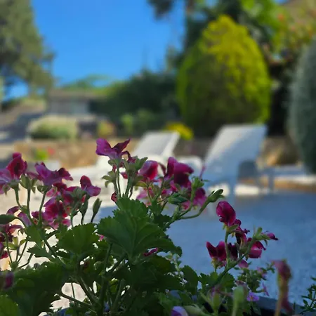 Ita - דירה *